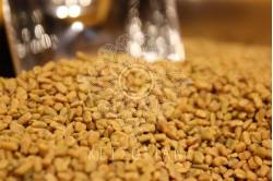 Τσιμένι ολόκληρο