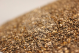 Chia seeds