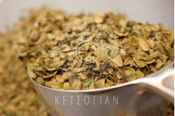 Αρκτοστάφυλλος