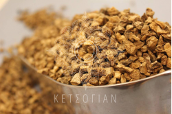 Αρπαγόφυτο