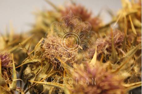 Γαϊδουράγκαθο