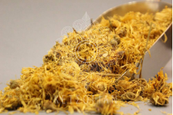 Καλέντουλα