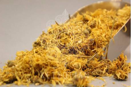 Καλέντουλα