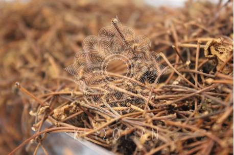 Κερασοουρές