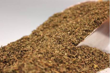 Μέντα φύλλα Αιγύπτου