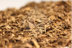 Πεντάνευρο