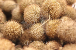 Πλατανόμηλα