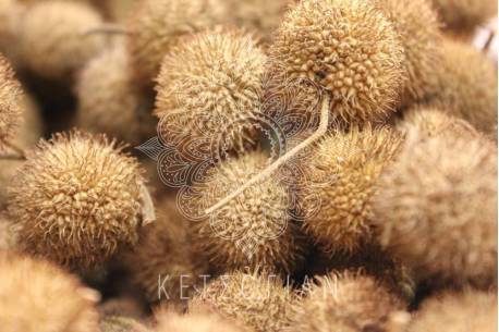 Πλατανόμηλα