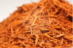 Σανδαλόξυλο