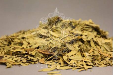 Σιναμικής φύλλα