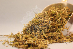 Σκορπιδόχορτο