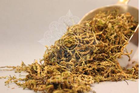 Σκορπιδόχορτο