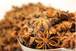 Γλυκάνισος αστεροειδής