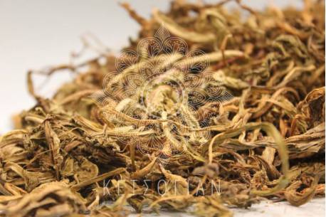 Ταραξάκο ρίζα Κίνας