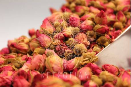 Τριαντάφυλλο ροζ