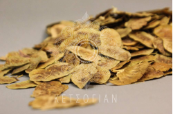 Αλεξανδρείας φύλλα