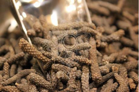 Μακροπίπερο