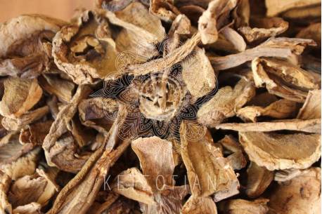 Μανιτάρια Porcini