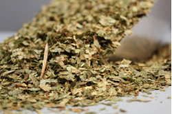 Επιμέντιουμ