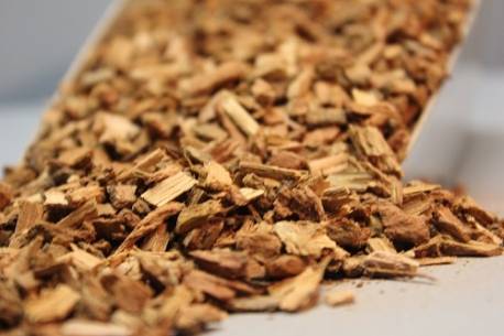 Βελανιδιά (ρίζα)