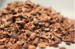 Κακάο καρποί