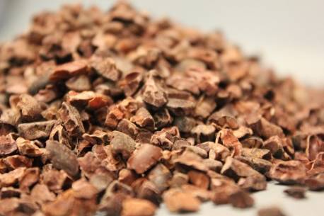 Κακάο καρποί