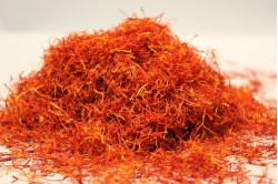 Κρόκος νηματίδια (Ισπανίας)