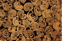 Κανέλλα Κεϋλάνης ολόκληρη