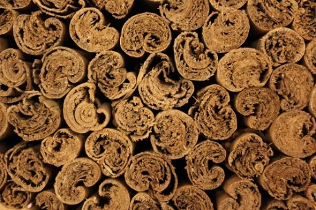 Κανέλλα Κεϋλάνης ολόκληρη