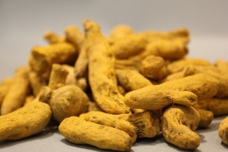 Κιτρινόριζα (ολόκληρη)