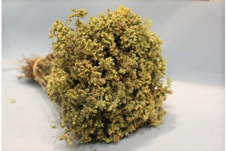 Ρίγανη εγχώρια ολόκληρη