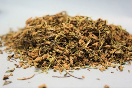 Πολυτρίχι - Σκορπιδόχορτο