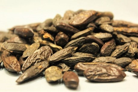 Τόνγκα καρποί