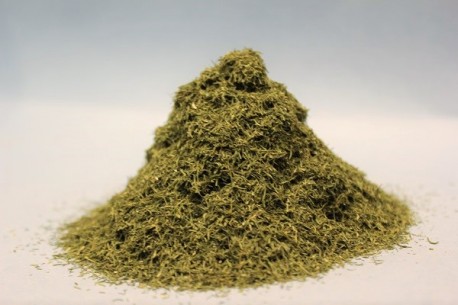 Άνηθος Αποξηραμένος