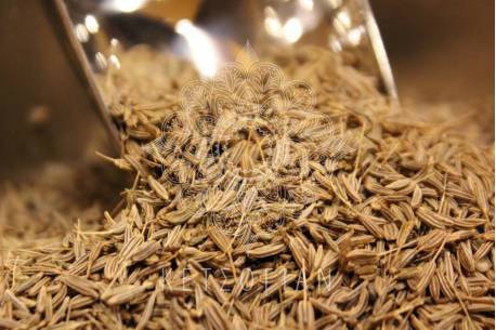 Αγριοκύμινο