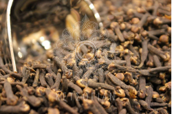 Γαρύφαλλο ολόκληρο