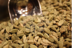 Κάρδαμο (σπόροι)