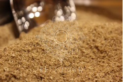 Μάραθος (Τριμμένος)