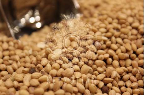 Μαχλέπι (ολόκληρο)