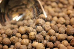 Μπαχάρι ολόκληρο