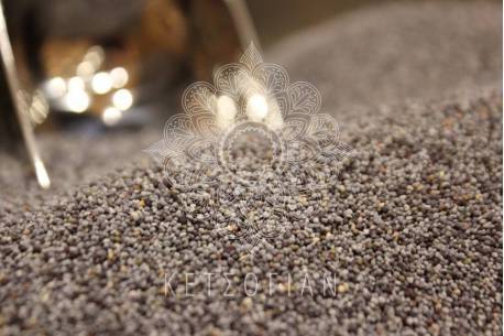 Παπαρουνόσπορος