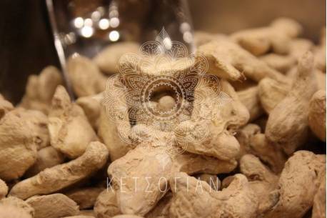 Πιπερόριζα