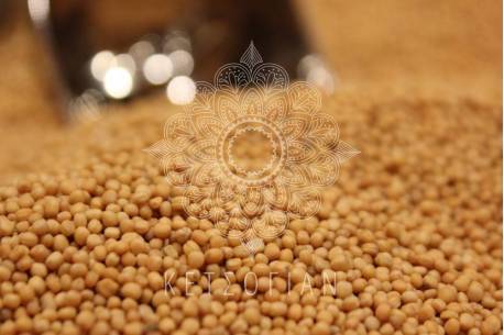 Σιναπόσπορος κίτρινος